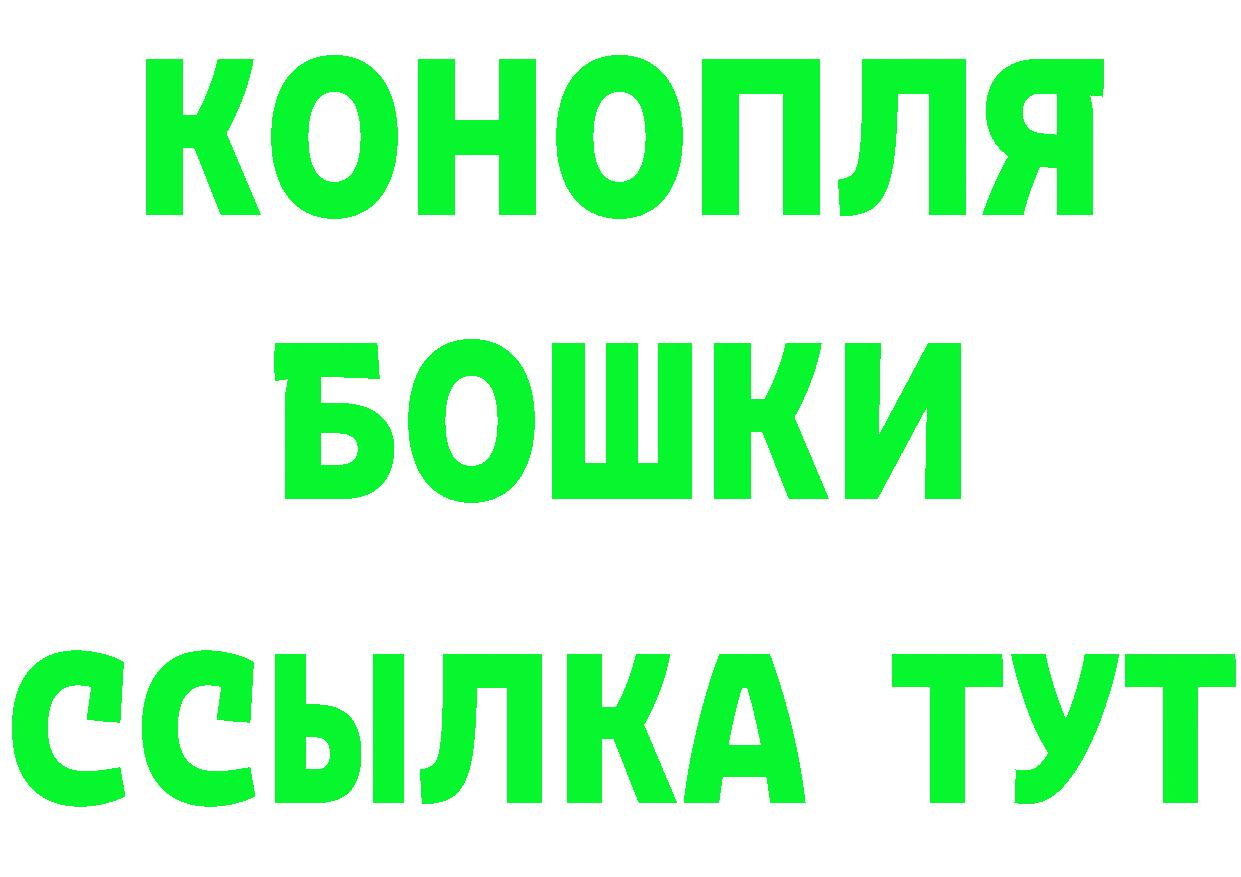 Alfa_PVP СК как зайти площадка ОМГ ОМГ Кашин